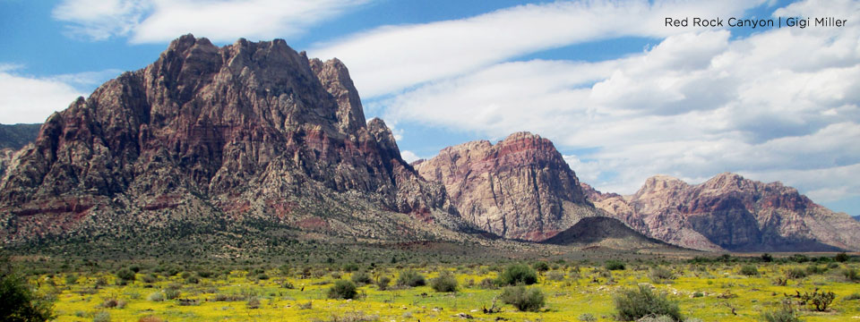 Red Rock Canyon Las Vegas Nevada | Rock Climbing | Rock Climbing Women