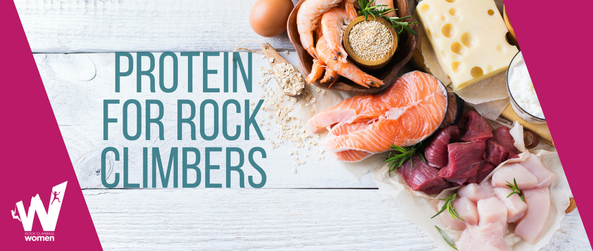 Assortment of healthy protein source.